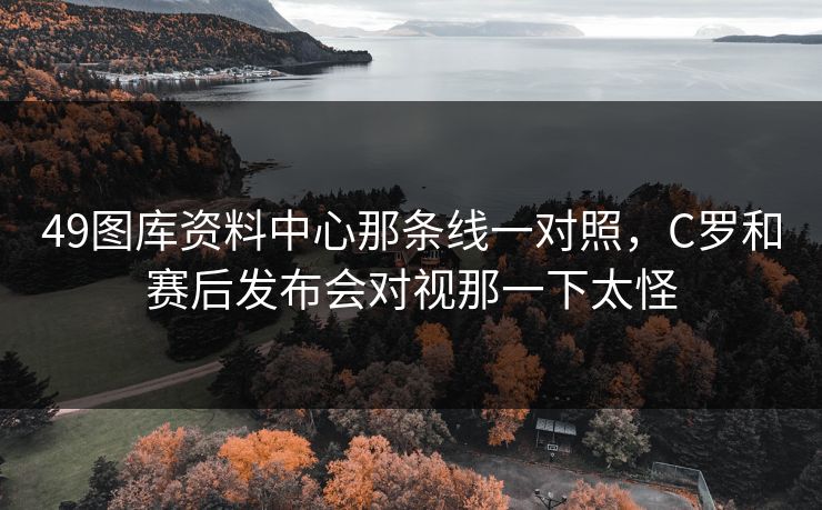 49图库资料中心那条线一对照，C罗和赛后发布会对视那一下太怪