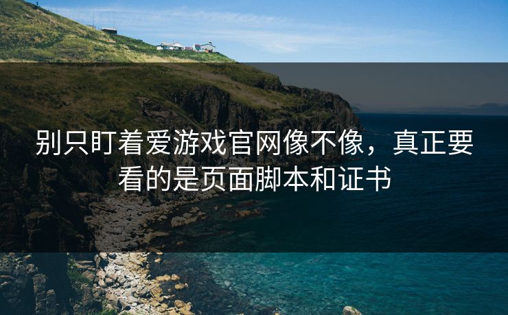 别只盯着爱游戏官网像不像，真正要看的是页面脚本和证书
