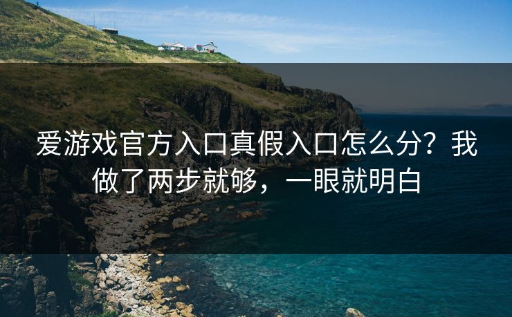 爱游戏官方入口真假入口怎么分？我做了两步就够，一眼就明白