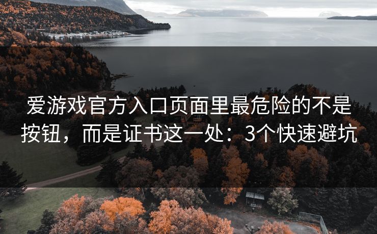 爱游戏官方入口页面里最危险的不是按钮，而是证书这一处：3个快速避坑
