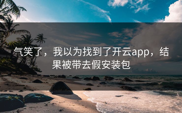 气笑了，我以为找到了开云app，结果被带去假安装包